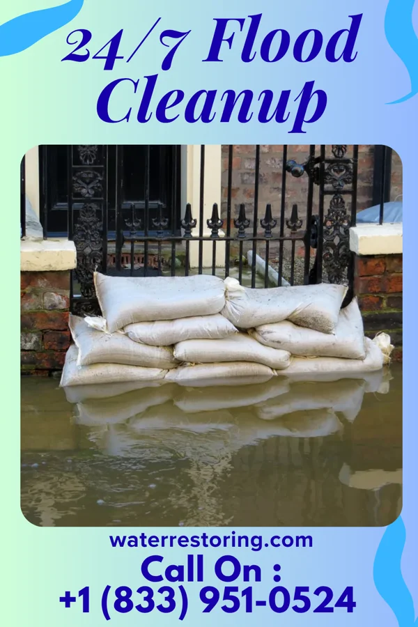 24/7 Flood Cleanup in Bucksport, SC