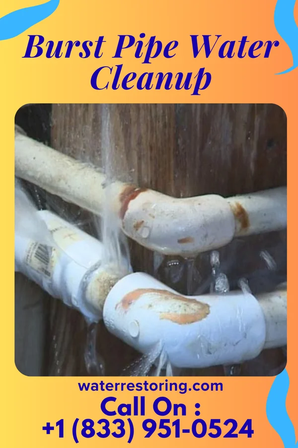 Burst Pipe Water Cleanup in Bucksport, SC
