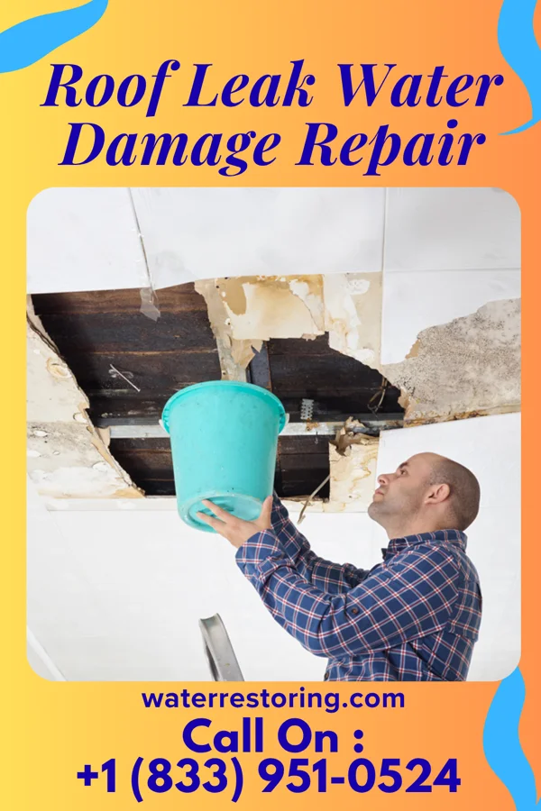 Roof Leak Water Damage Repair in Bucksport, SC