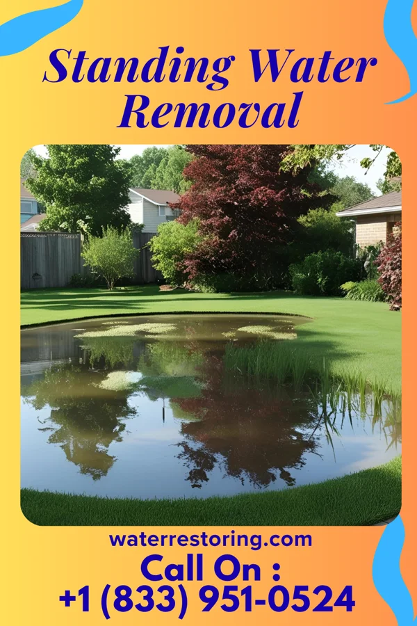 Standing Water Removal in Bucksport, SC